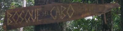 Bosque Sign