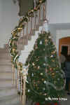 xmastree.jpg (62259 bytes)