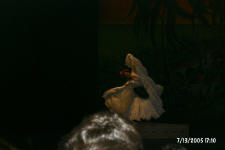 Ballet Folklorico